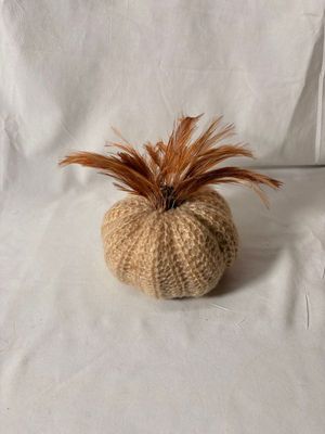 5" Cream Crochet Pumpkin w/Wood Stem