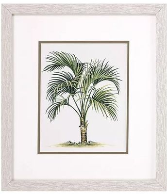 Palms I 16x14 Palms I 16x14