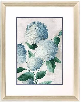 Hydrangea Blooms II  27x21