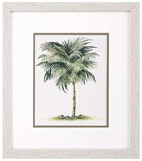 Palms II 16x14 Palms II 16x14