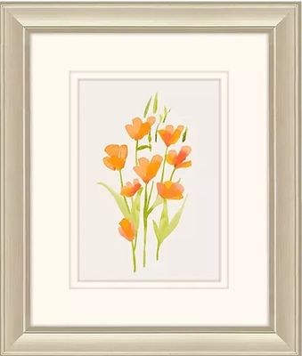 Cheerful IIB 12x10 Cheerful IIB 12x10