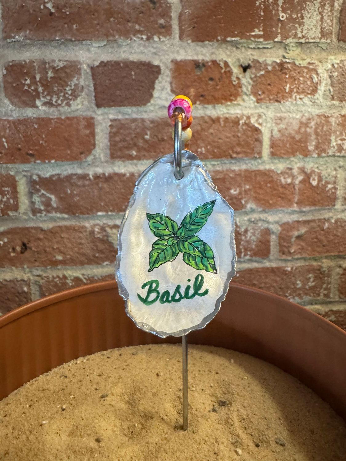 Oyster Shell - Herb Marker - Basil