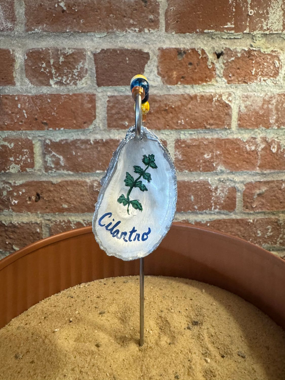 Oyster Shell - Herb Marker - Cilantro