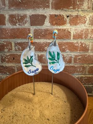 Oyster Shell - Herb Marker - Sage