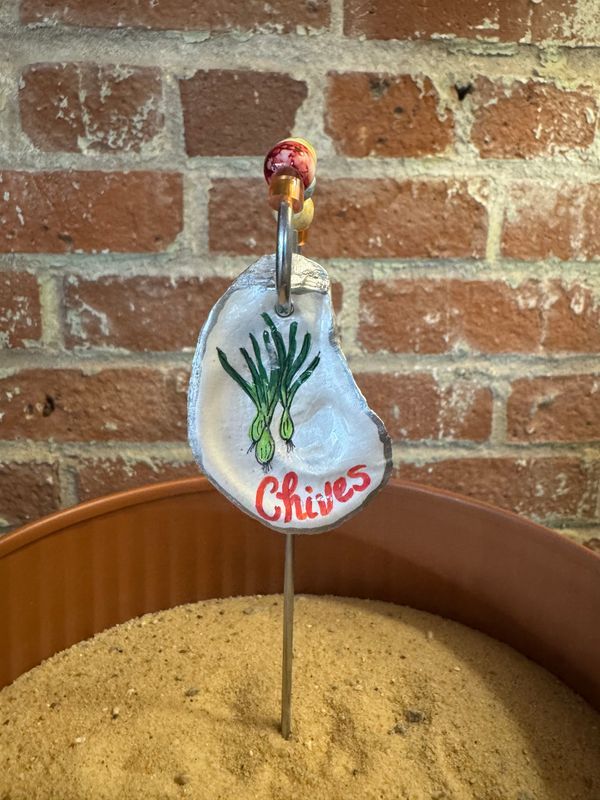 Oyster Shell - Herb Marker - Chives