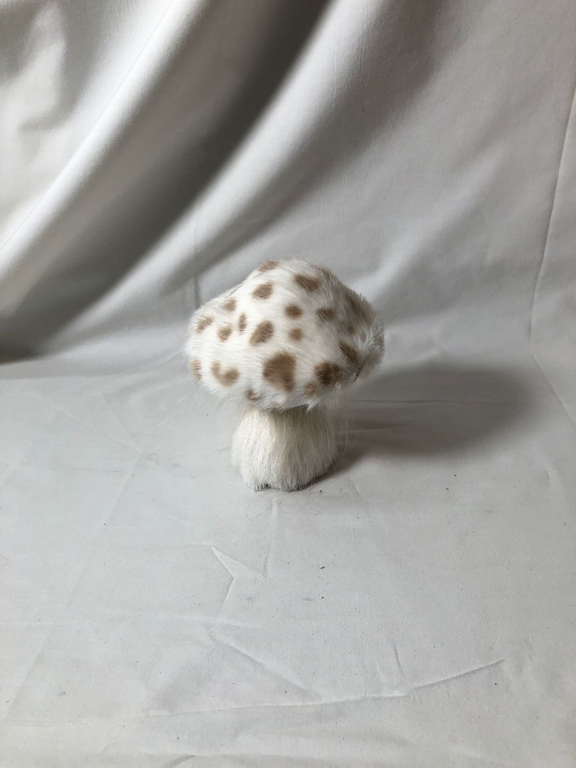 Spotted Furry Mushroom Sm Spotted Furry Mushroom Sm