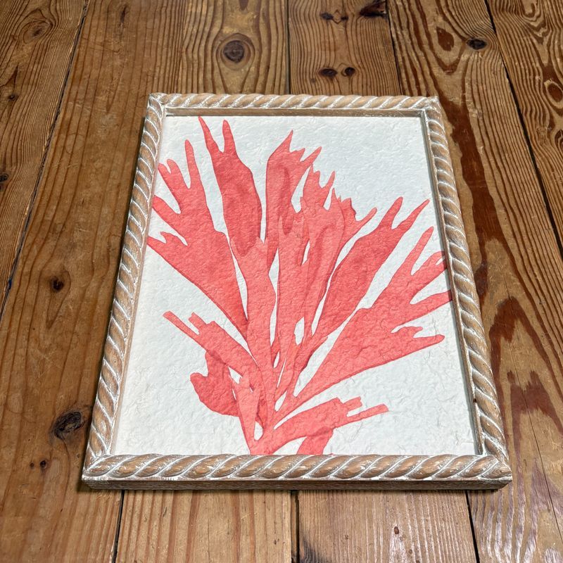 Coral Print w/Wooden Frame I Coral Print w/Wooden Frame I