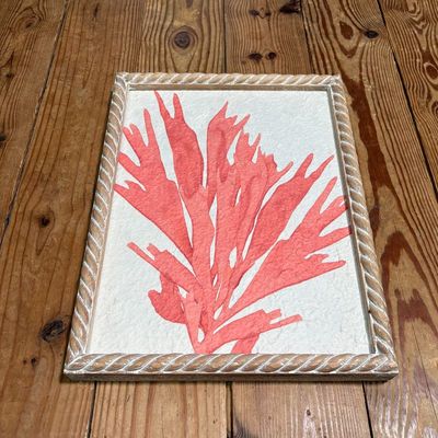 Coral Print w/Wooden Frame I