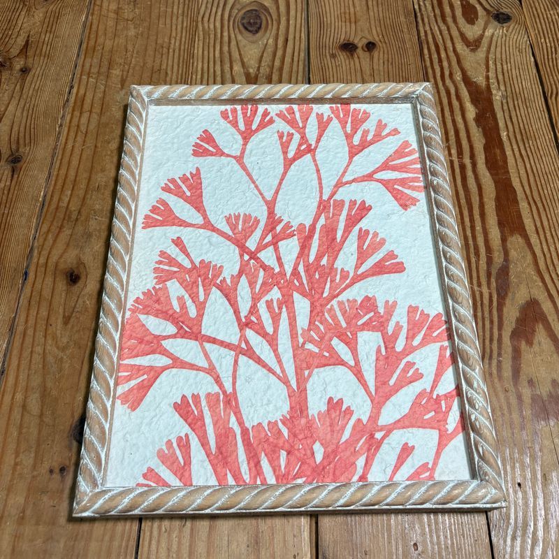 Coral Print w/Wooden Frame IV Coral Print w/Wooden Frame IV