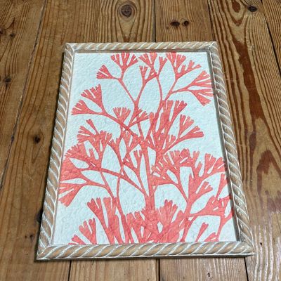 Coral Print w/Wooden Frame IV