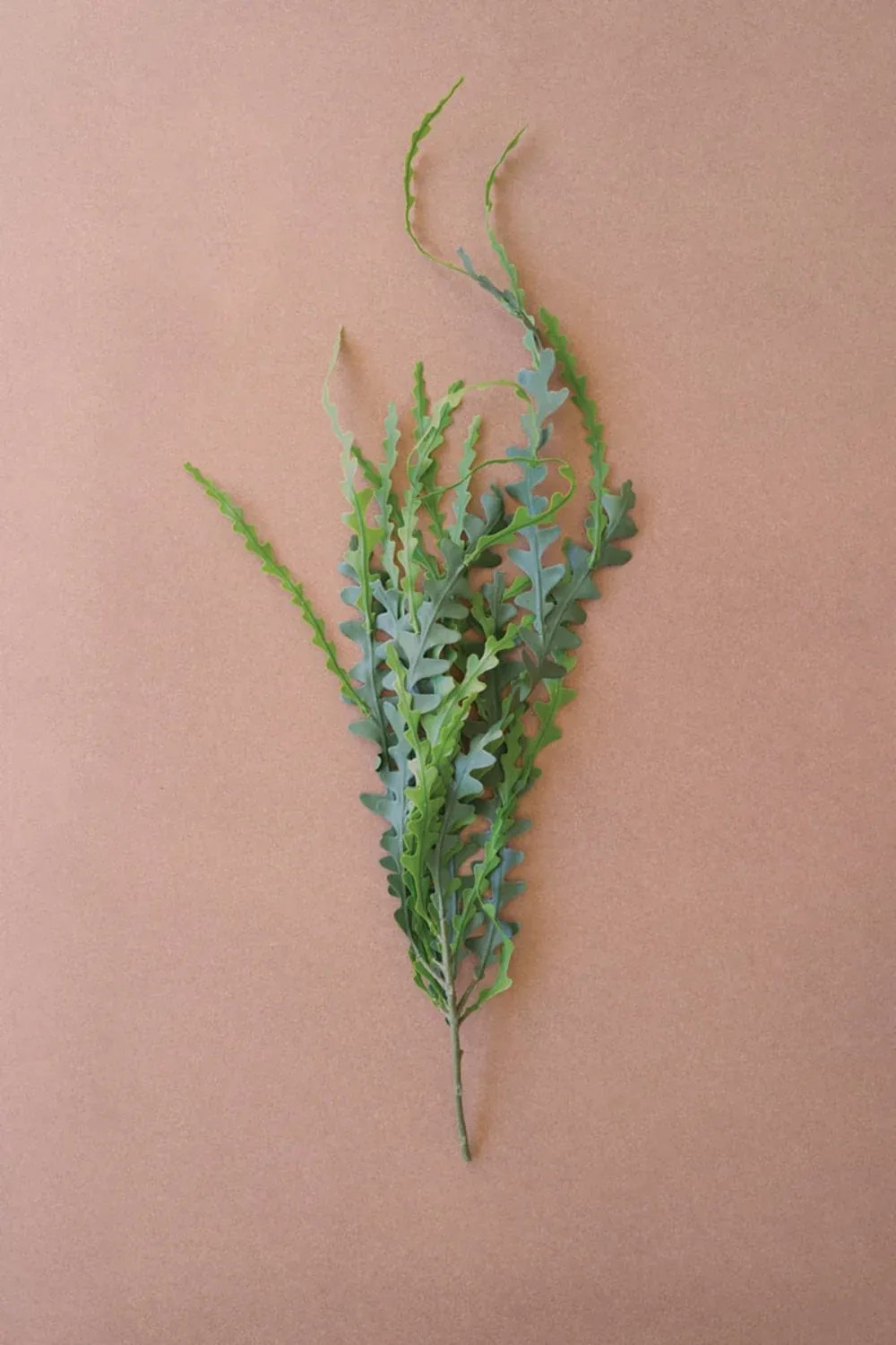 Artificial Fern Stem