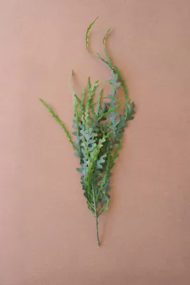 Artificial Fern Stem