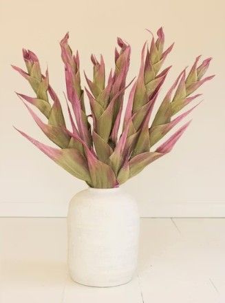 Botanica #2807