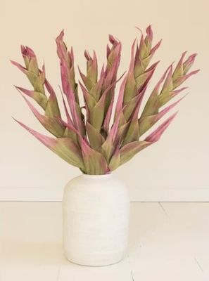 Botanica #2807