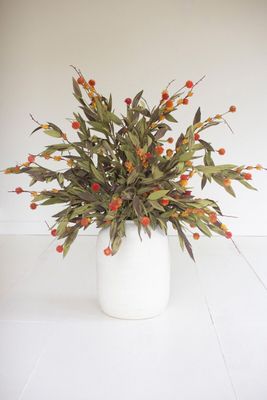 Botanica #2818