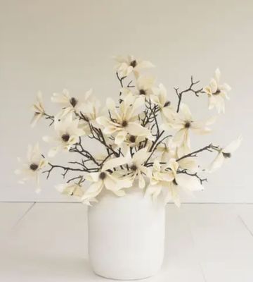 Botanica #2831