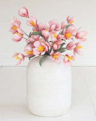 Botanica #3634