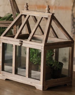 Wood and Glass Terrarium - Sm