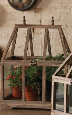 Wood and Glass Terrarium - Lg