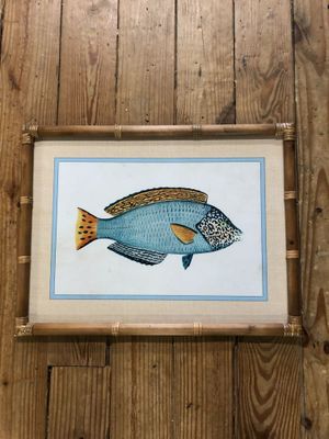 Framed Fish Prints Under Glass I