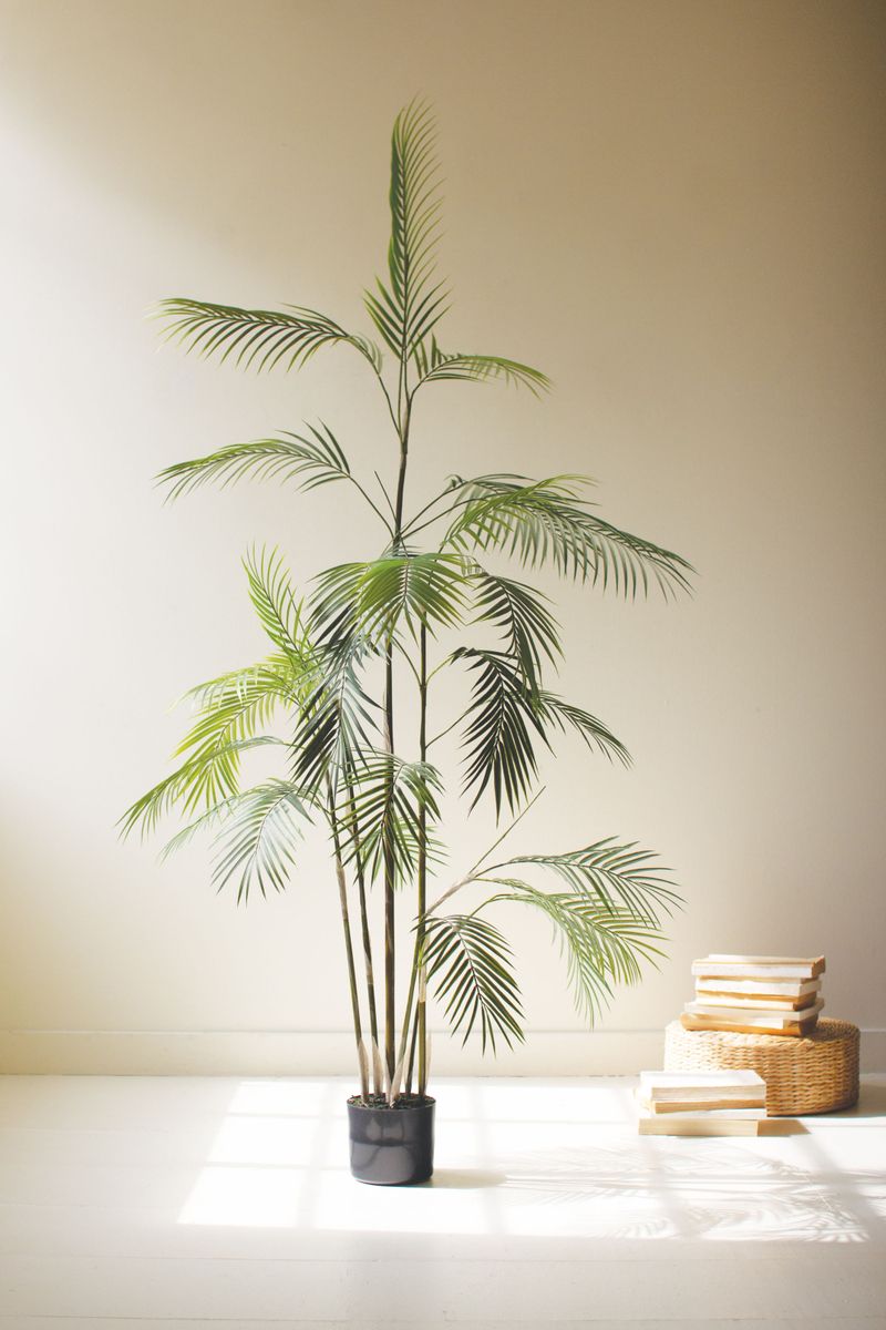 Artificial Palm Tree in a Black Plastic Pot Artificial Palm Tree in a Black Plastic Pot