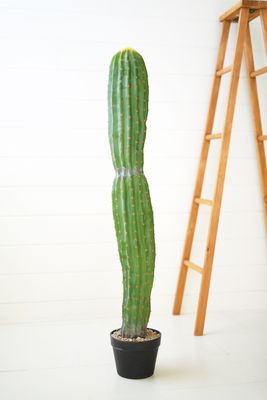 Artificial Single Trunk Cactus in a Plastic Pot Artificial Single Trunk Cactus in a Plastic Pot