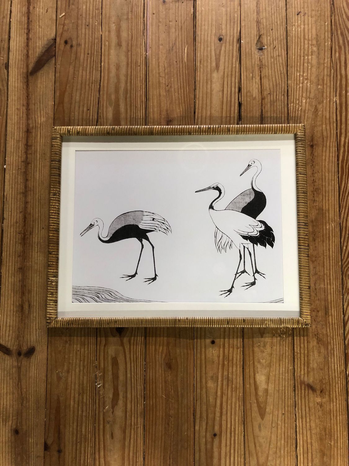 Framed Shore Bird Print Under Glass II