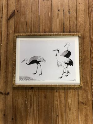 Framed Shore Bird Print Under Glass II