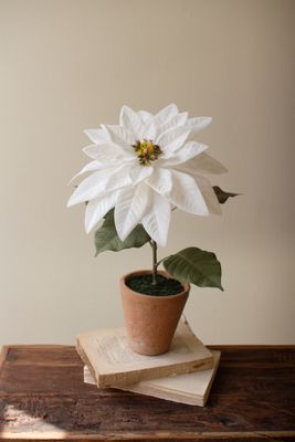 Artificial Poinsettia in a Cement Pot - White Artificial Poinsettia in a Cement Pot - White