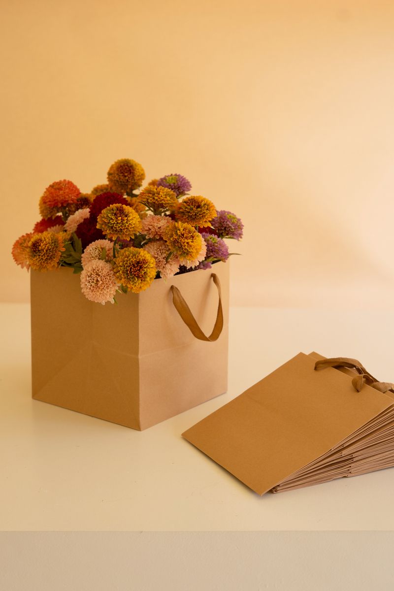 Square Kraft Paper Bag w/Dyed Cotton Handles