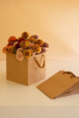 Square Kraft Paper Bag w/Dyed Cotton Handles
