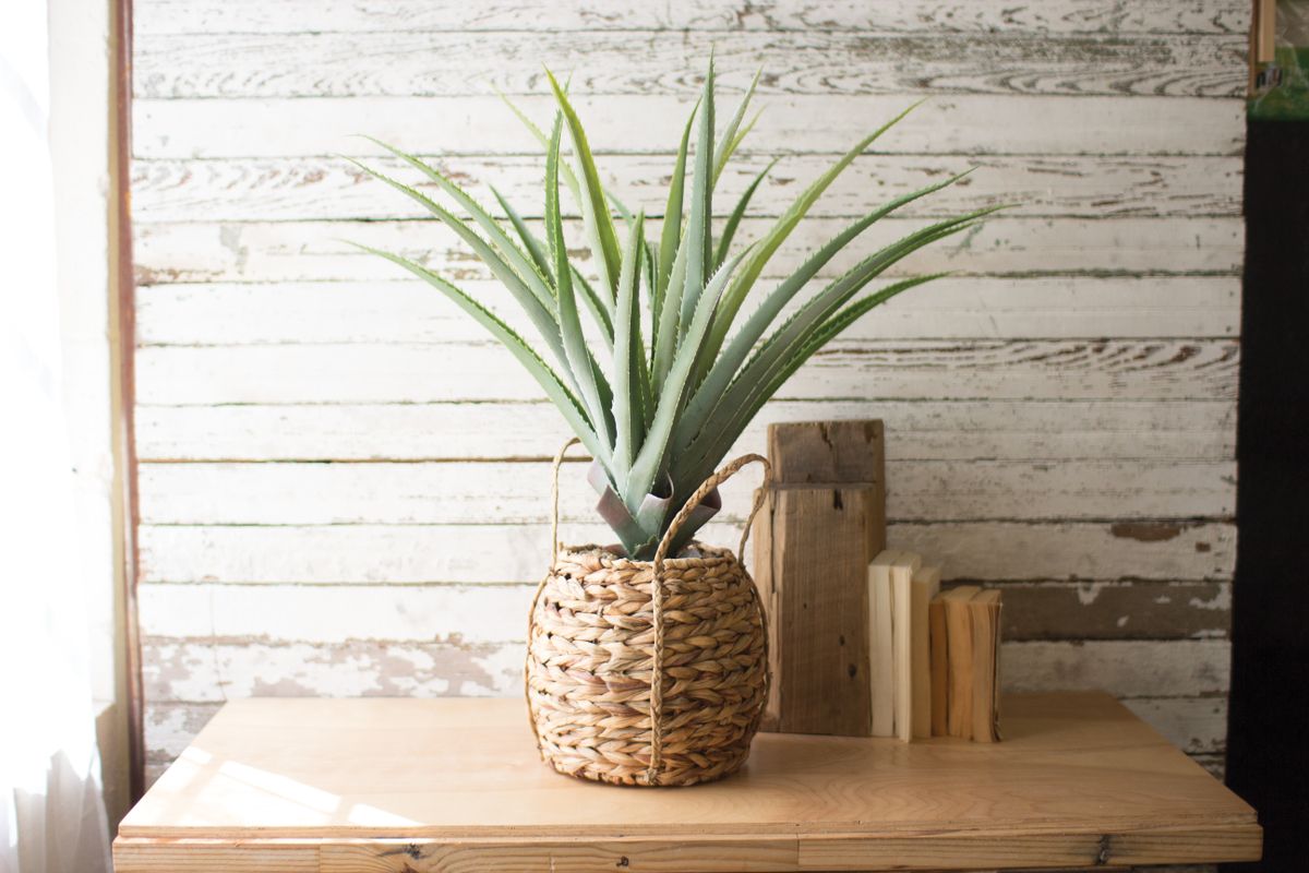 Artificial Aloe in a Woven Seagrass Pot Artificial Aloe in a Woven Seagrass Pot