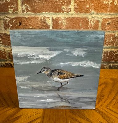 Sandpiper on the Beach - 6 x 6"T