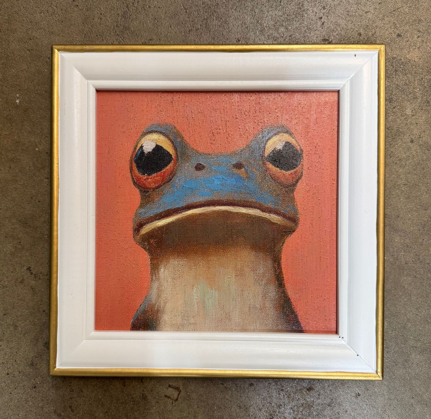 Framed Animals Print - Frog Framed Animals Print - Frog