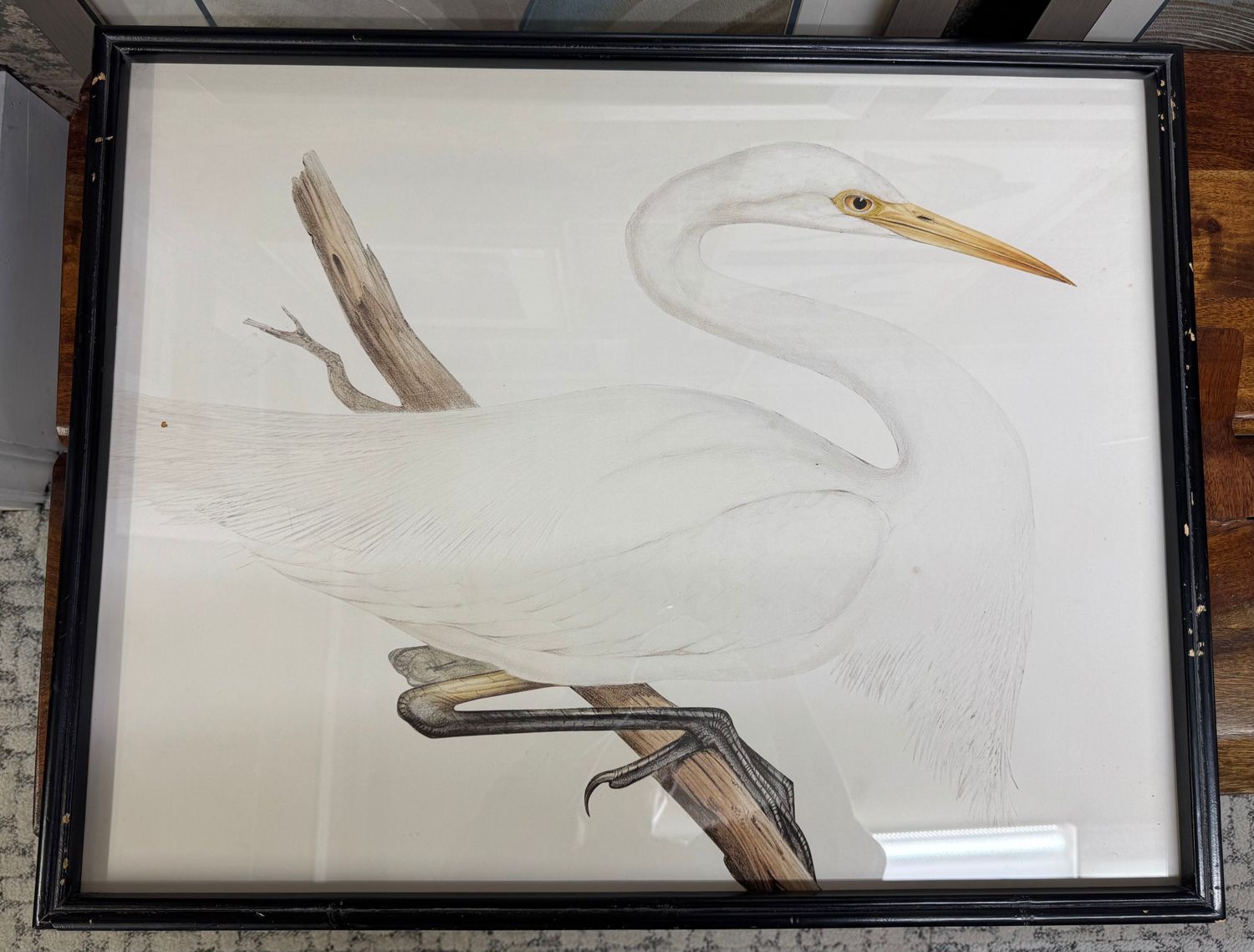 Framed Heron Print Under Glass II