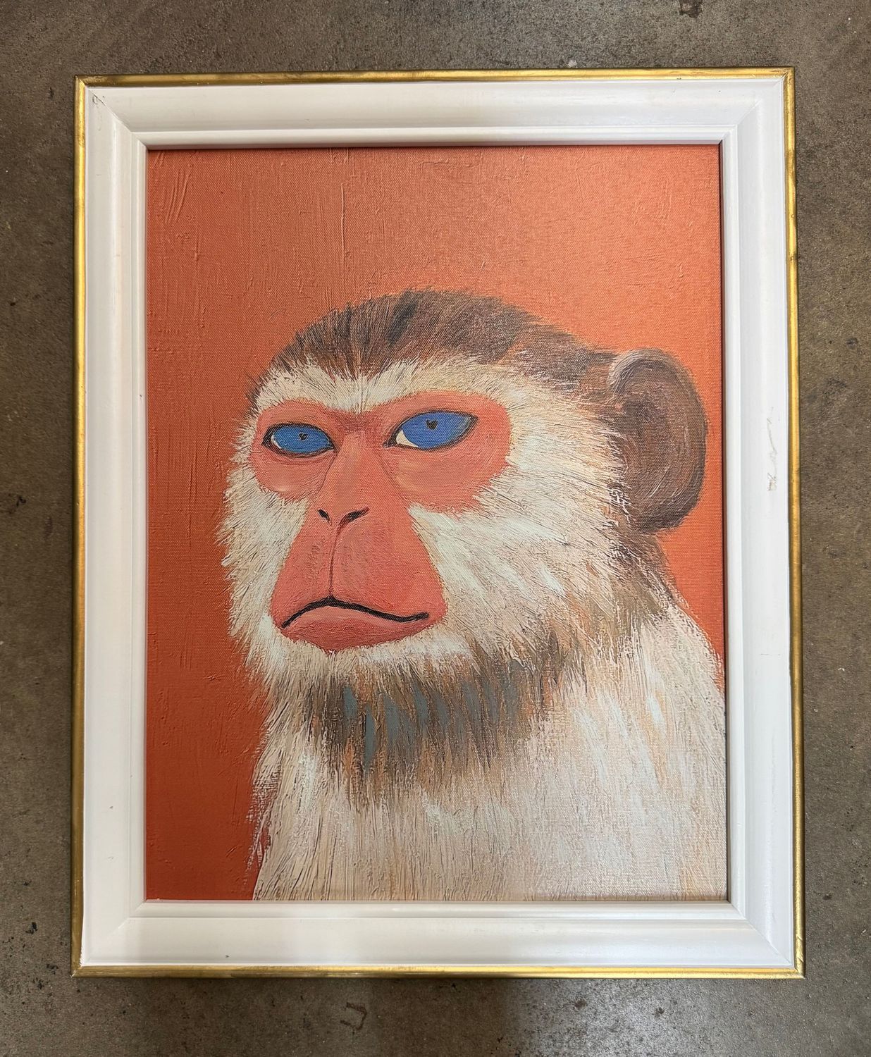 Framed Animals Print - Monkey Framed Animals Print - Monkey