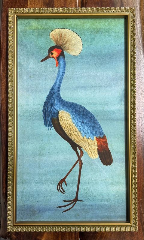 Framed Exotic Animal Print Under Glass - Lg Framed Exotic Animal Print Under Glass - Lg