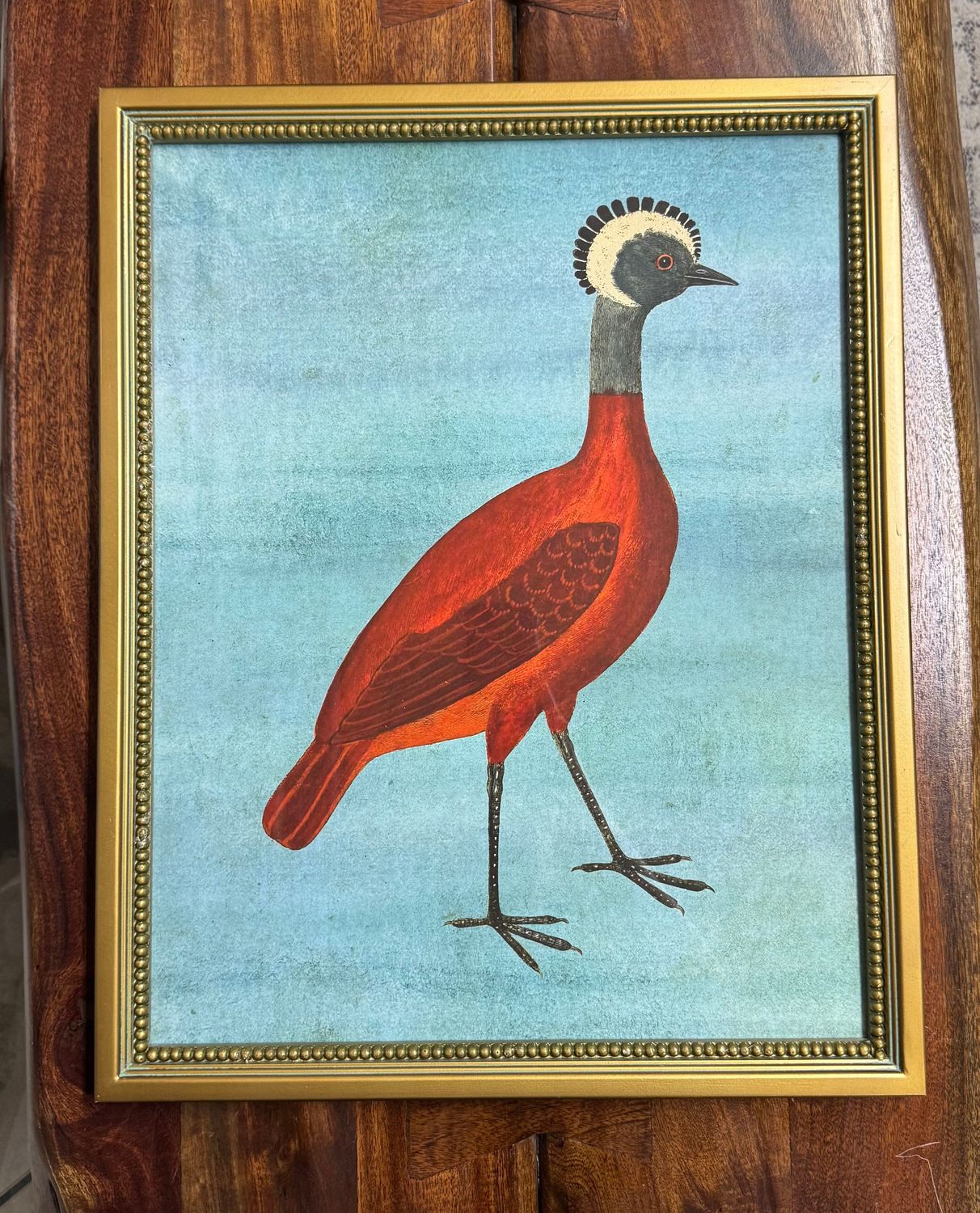 Framed Exotic Animal Print Under Glass -  Med