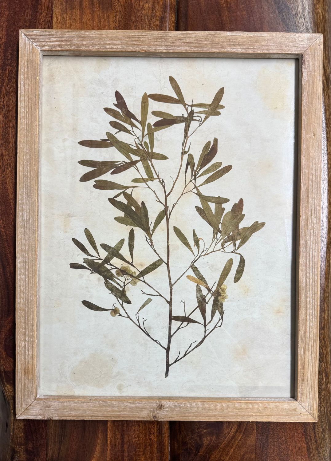 Leaf Print Under Glass I Leaf Print Under Glass I