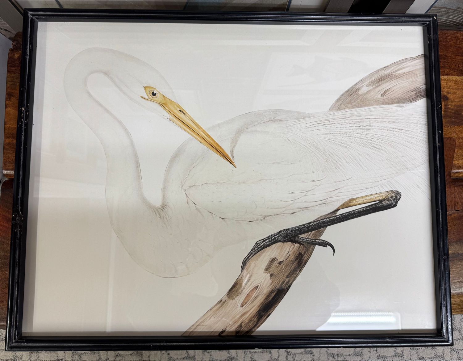 Framed Heron Print Under Glass I