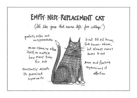 NYC349 Replacement Cat New Yorker Card