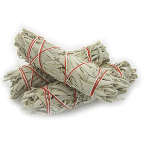 Baby White Sage Bundles (single thread)