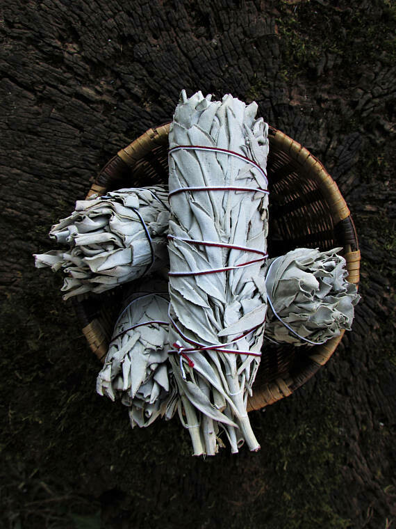 Baby White Sage Bundles (single thread)
