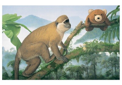 POM 0524 Tom Palmore - Chance Encounters Notecards