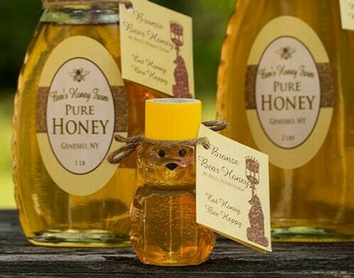Little Honey Bear