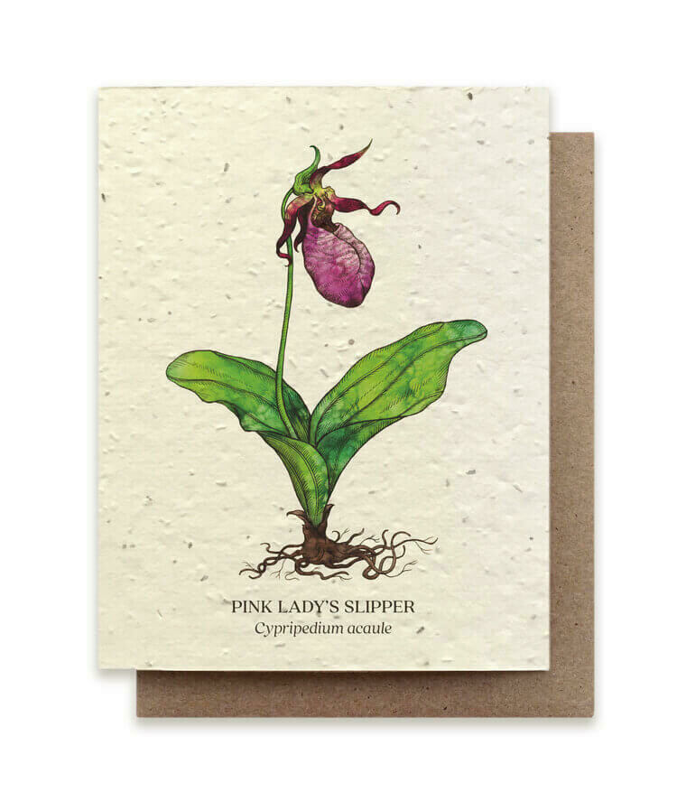 Pink Lady Slipper Plantable Seed Paper Card - GC-B09