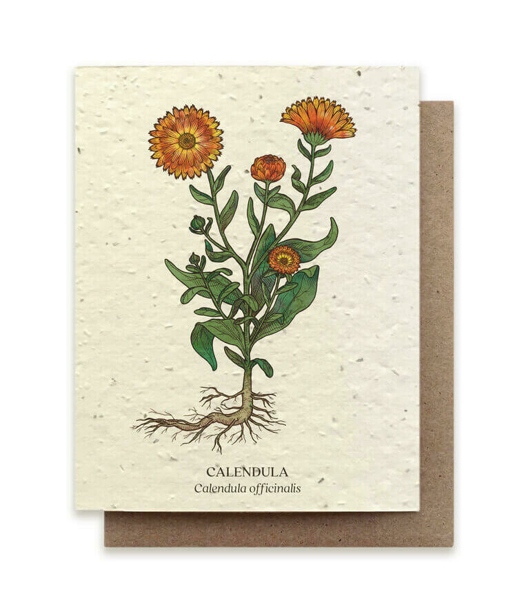 Calendula Plantable Seed Paper Card - GC-B16