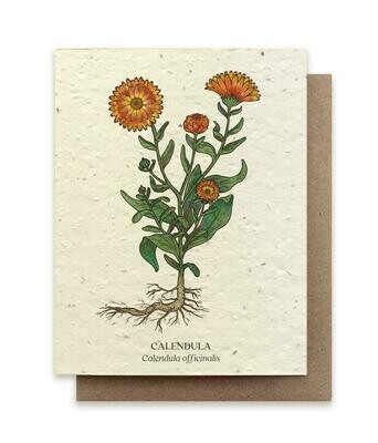 Calendula Plantable Flower Seed Card - GC-B16