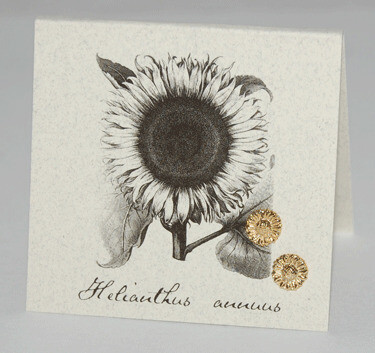 S&amp;B Sunflower 14k Gold Vermeil Post Earrings