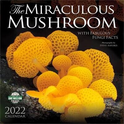 WAL Miraculous Mushroom 2023 Wall Calendar